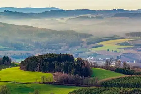 Single Sauerland